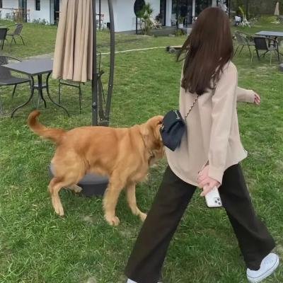 当福音再临 在线观看