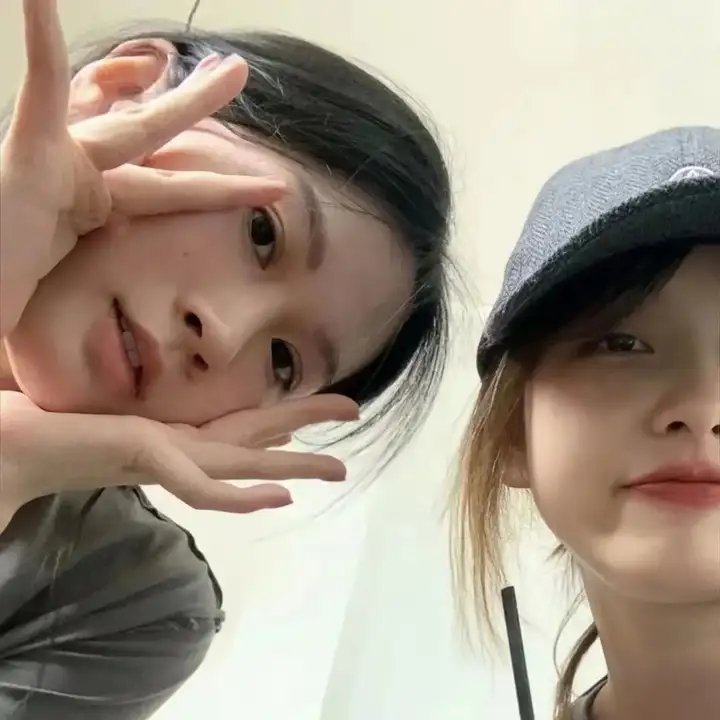 哥吉拉×机械哥吉拉 在线观看